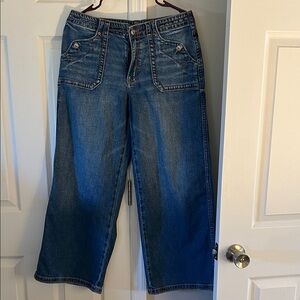 American Eagle Outfitters Dark Blue Low-Rise Ultra Wide Leg Jeans